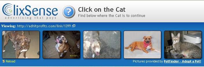 Click on cat